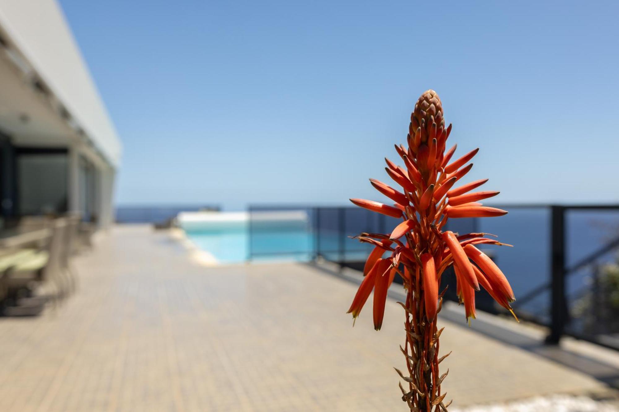 Villa Pascal By Rmz Estreito Da Calheta Eksteriør bilde